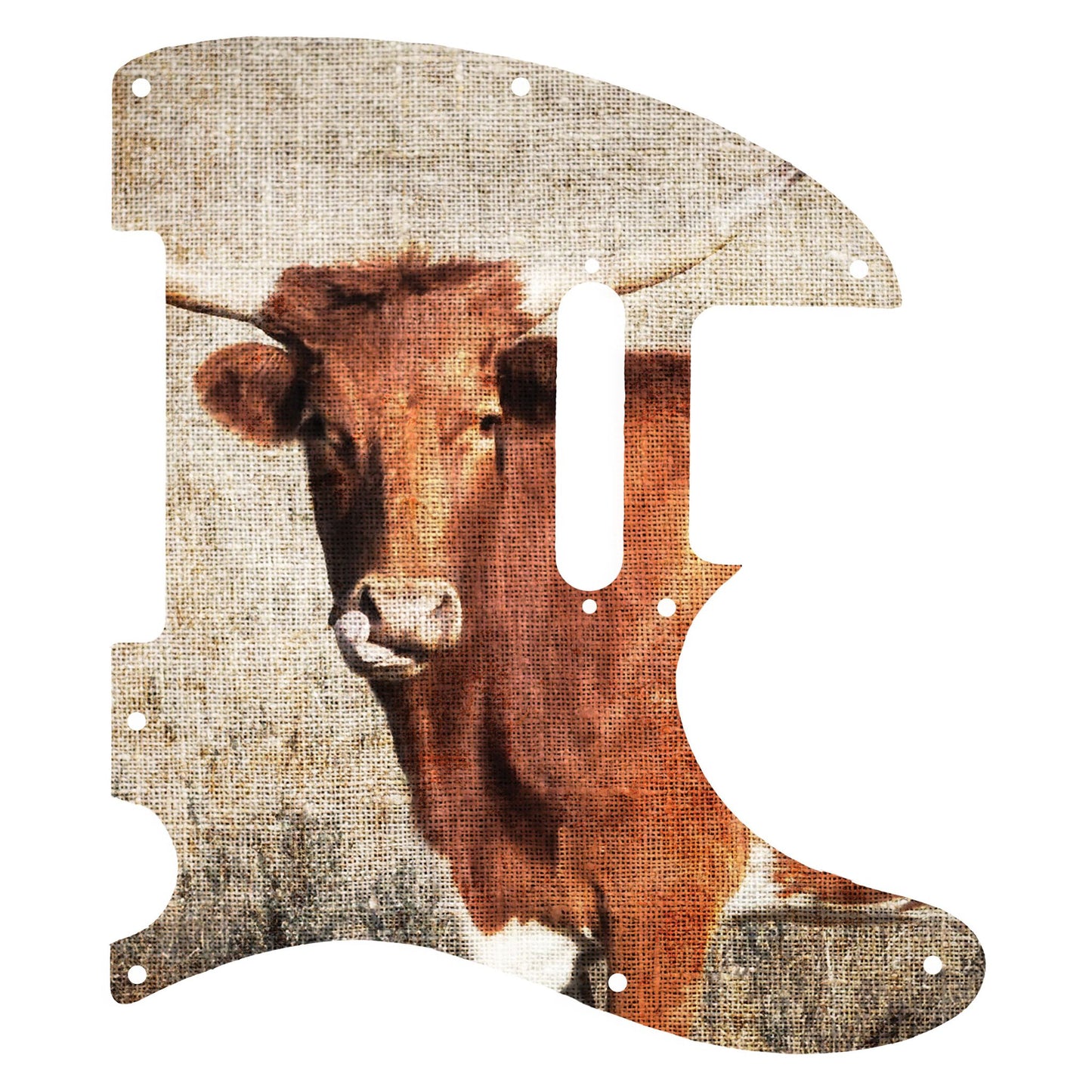 Fender Telecaster Gitár koptató - Egyedi Telecaster pickguard - Textures of Texas