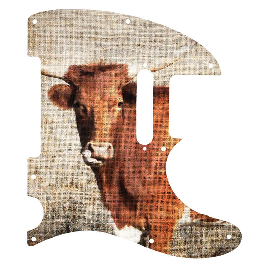 Fender Telecaster Gitár koptató - Egyedi Telecaster pickguard - Textures of Texas