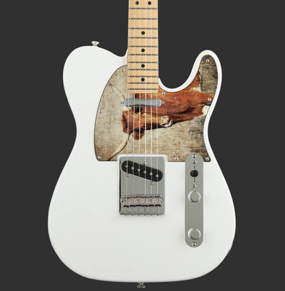 Fender Telecaster Gitár koptató - Egyedi Telecaster pickguard - Textures of Texas
