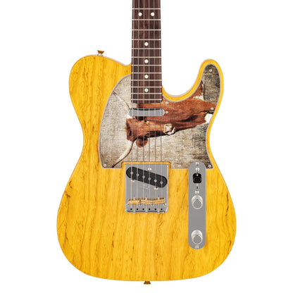 Fender Telecaster Gitár koptató - Egyedi Telecaster pickguard - Textures of Texas